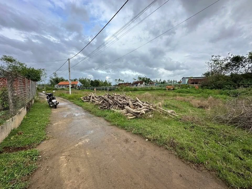 Đất nền Vân Sơn, Nhơn Hậu 185m² giá 699 triệu - Cơ hội đầu tư sinh lời!