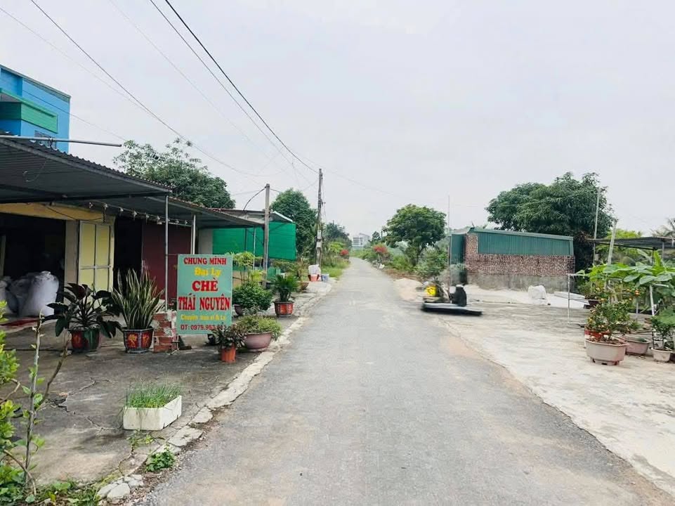 Đất thổ cư An Hiệp, Quỳnh Phụ 81m² giá 1.1 tỷ - Sổ đỏ chính chủ!