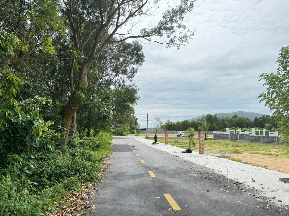 Đất thổ cư Phước Hải 240m² giá 2 tỷ - Mặt tiền đường nhựa đẹp