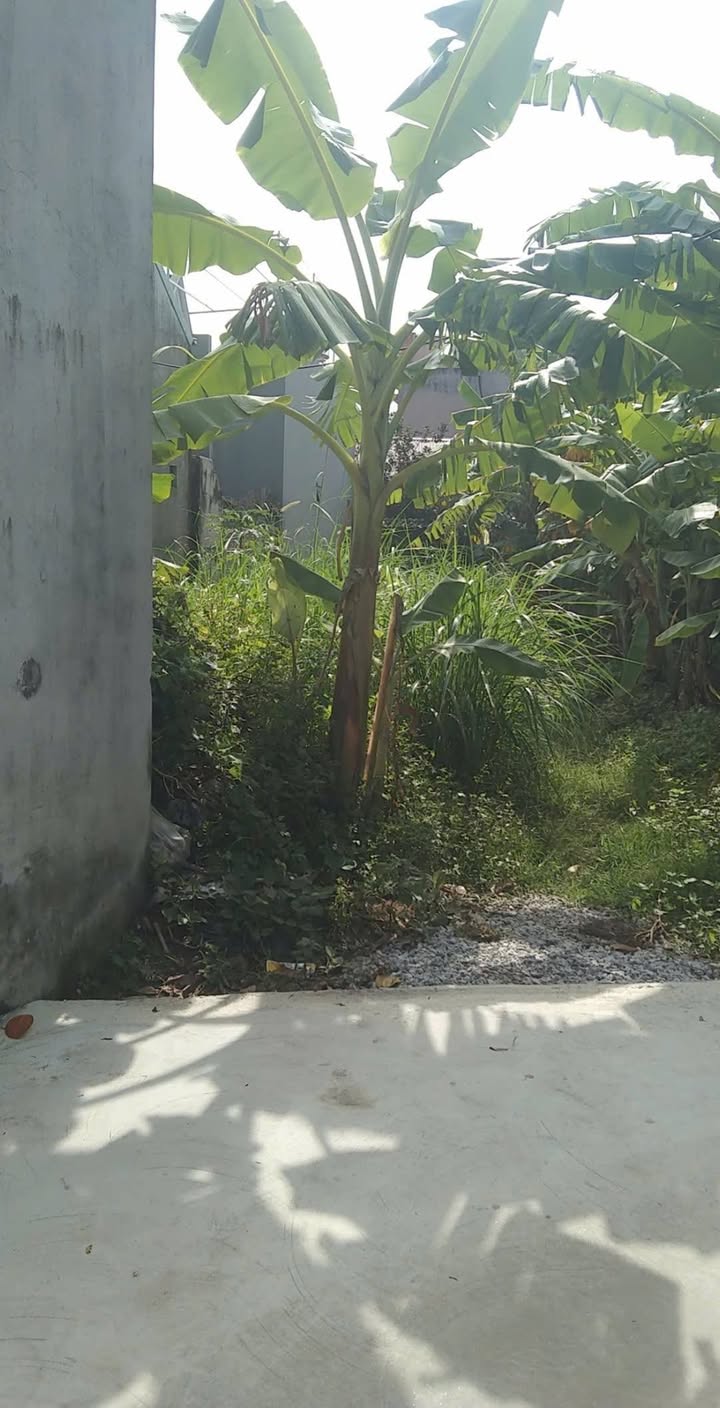 Đất thổ cư Nhân Thắng, Gia Bình 169m² giá 2.873 tỷ - Đầu tư sinh lời ngay!