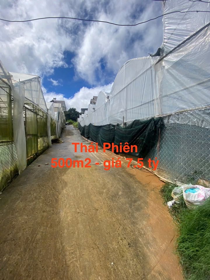 Bán gấp đất biệt thự đường Hồ Xuân Hương 500m² giá chỉ 7.5 tỷ - Cơ hội đầu tư hấp dẫn!