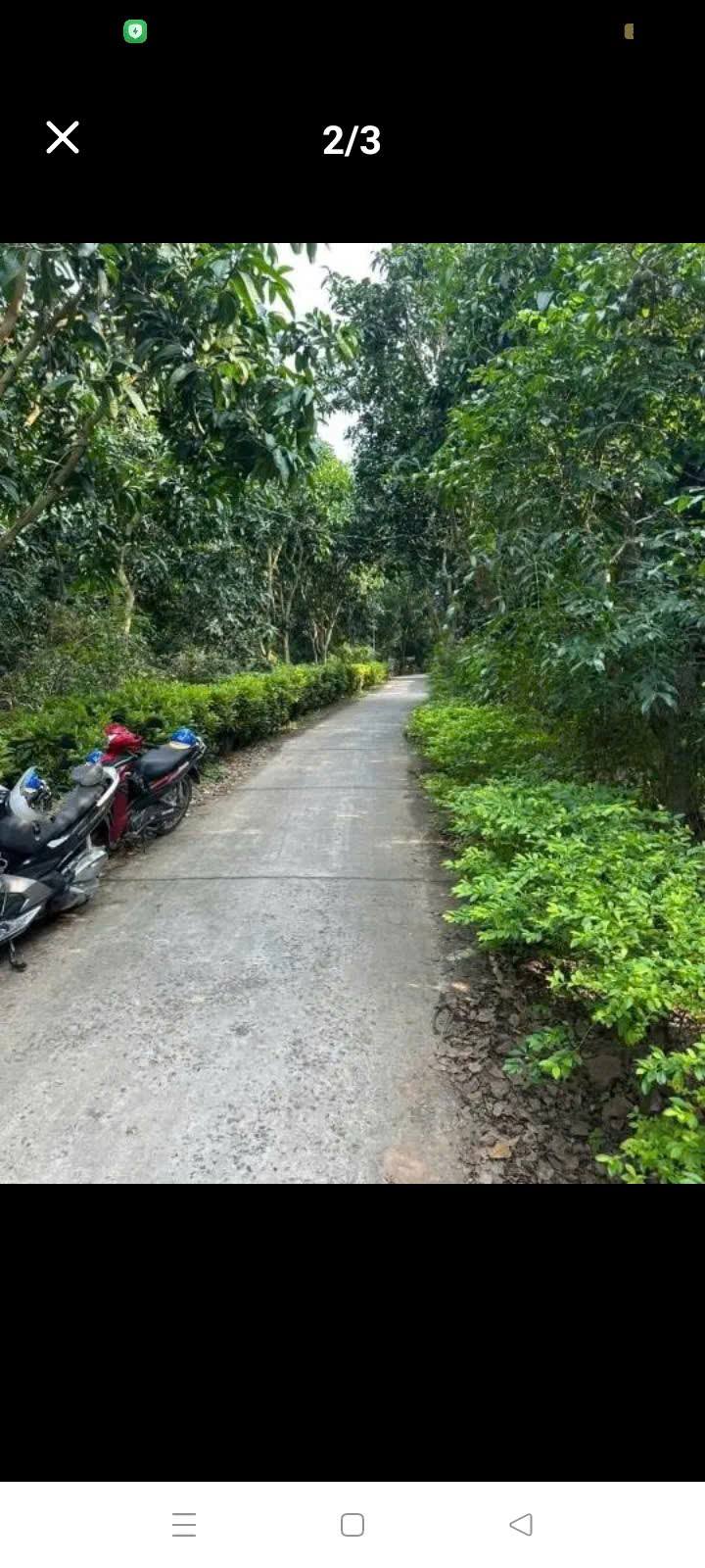 Farm vườn xoài 2200m² mặt tiền 14m tại Tân Tây - Giá chỉ 1.8 tỷ VND!