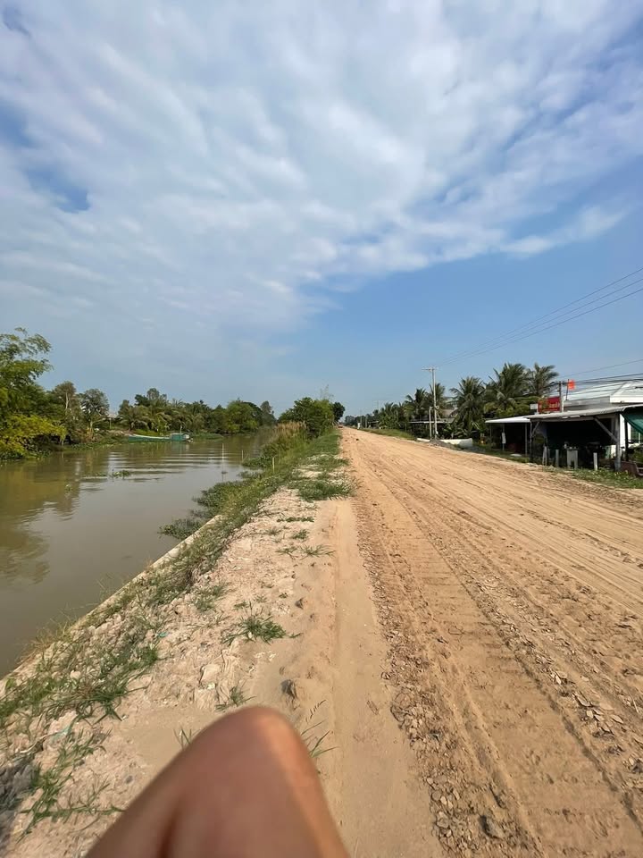 Đất nền mặt tiền đường Bình Tấn, Thanh Bình, Đồng Tháp 978m² - Giá thương lượng hấp dẫn!