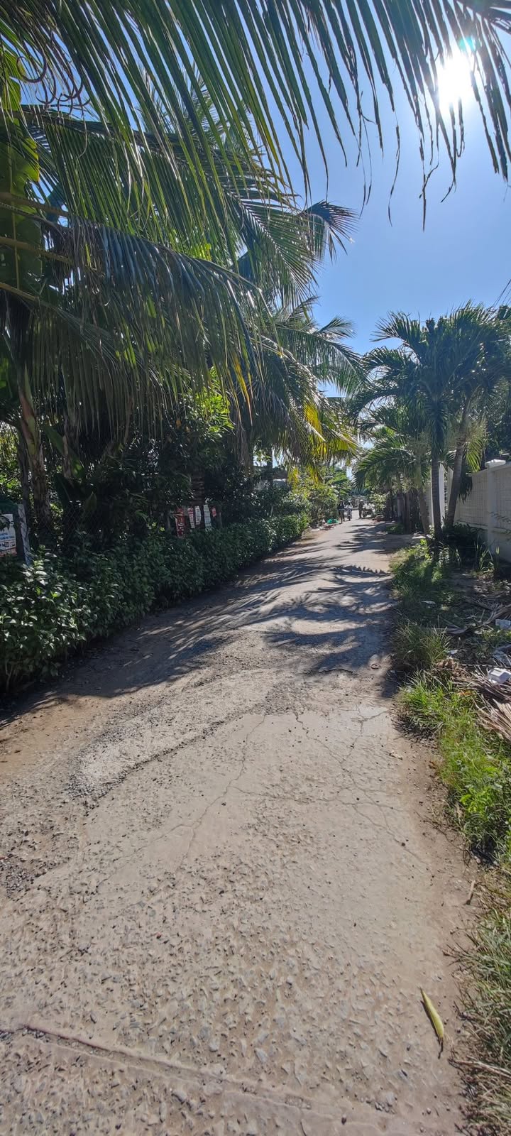 Nhà cấp 4 tại Phường An Lạc, Hồng Ngự 132.7m² - Giá thương lượng trực tiếp chính chủ!