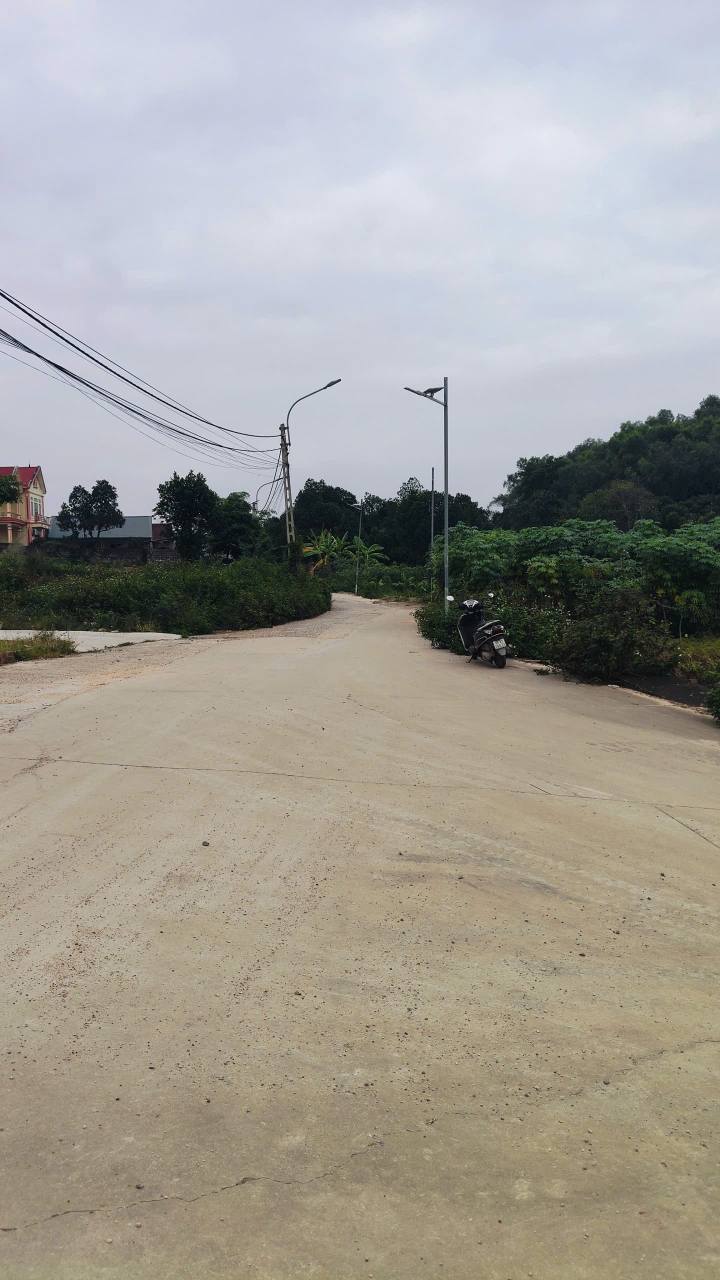 Đất nền Châu Phong, Quế Võ, Bắc Ninh 76m² giá 1 tỷ - Tiềm năng sinh lời cao!