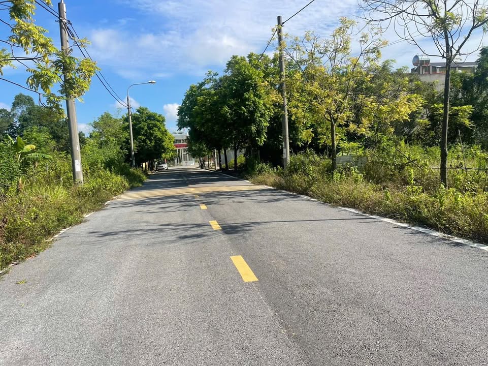 Đất nền Tam Hợp, Bình Xuyên 100m² chỉ 1,8 tỷ - Sổ đỏ chính chủ!