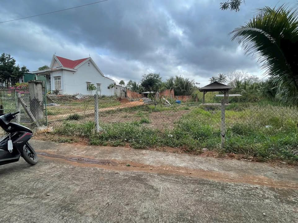 Đất Sào Phường Thành Nhất Buôn Ma Thuột 2000m² giá 4.99 tỷ - Sổ đỏ chính chủ, đường ô tô vào tận nơi!