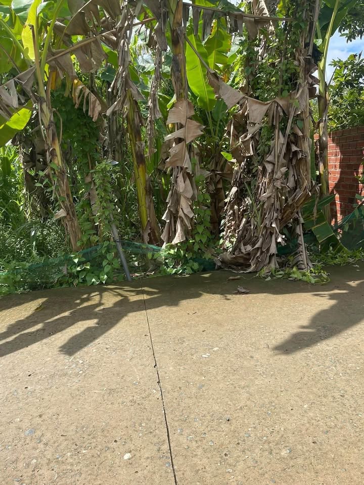 Đất nền Thành Triệu 206m² giá 600 triệu - Mặt tiền đường xe hơi thuận lợi!