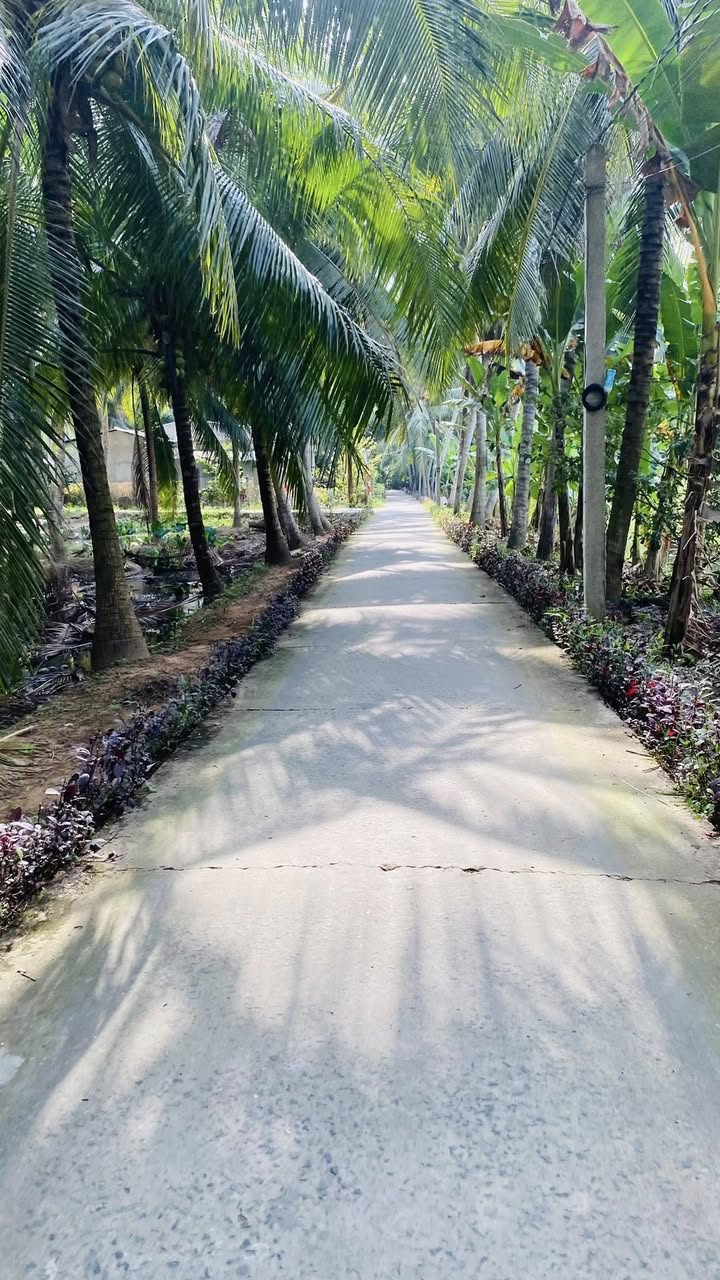 Bán đất có nhà cấp 4 tại xã Sơn Phú, Giồng Trôm 228m² - Sổ hồng chính chủ, giá tốt!