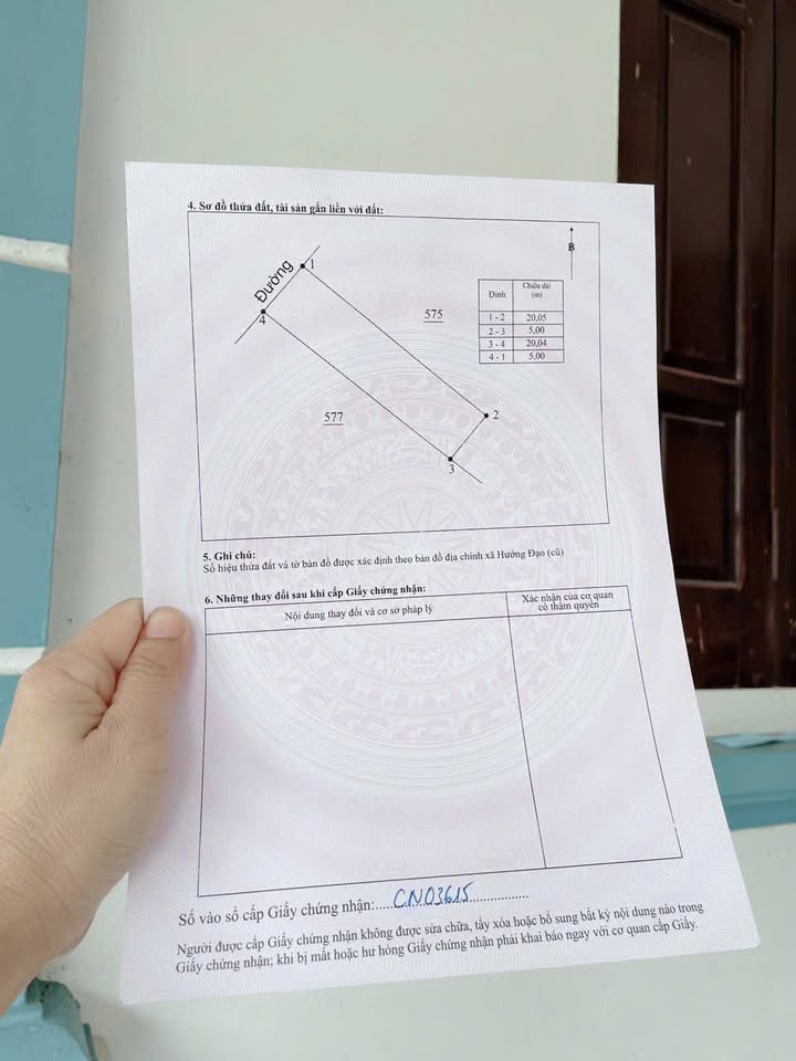 Đất thổ cư Hướng Đạo, Tam Dương 100m² giá 1 tỷ - Vị trí vàng không thể bỏ lỡ!