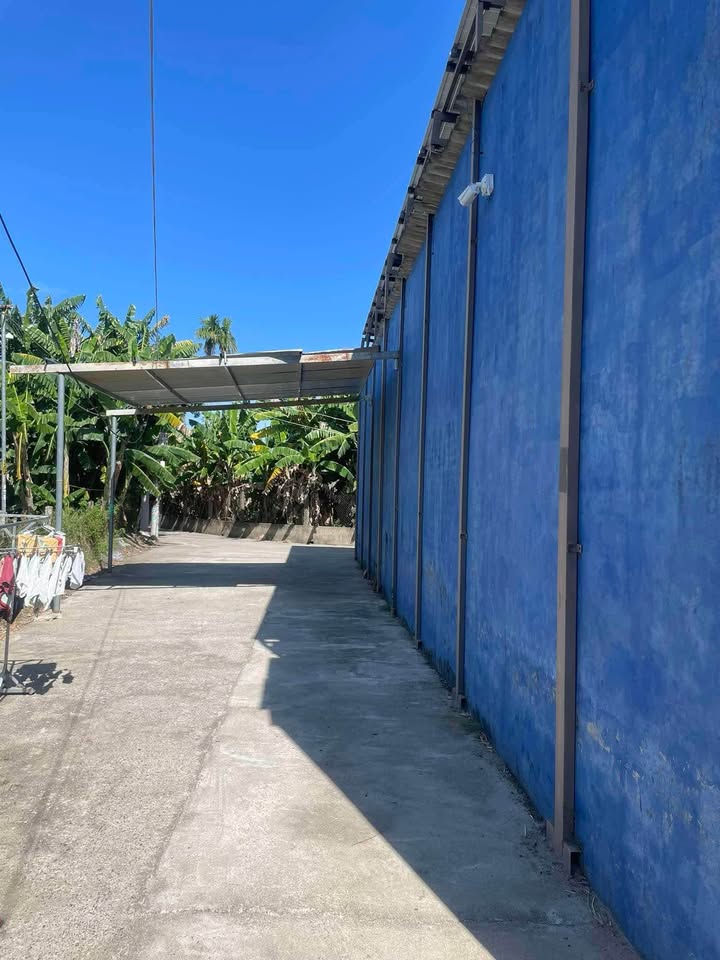 Đất ở đô thị Điện Bàn Bắc Đà Nẵng 70m² giá 800 triệu - Cơ hội đầu tư hấp dẫn!