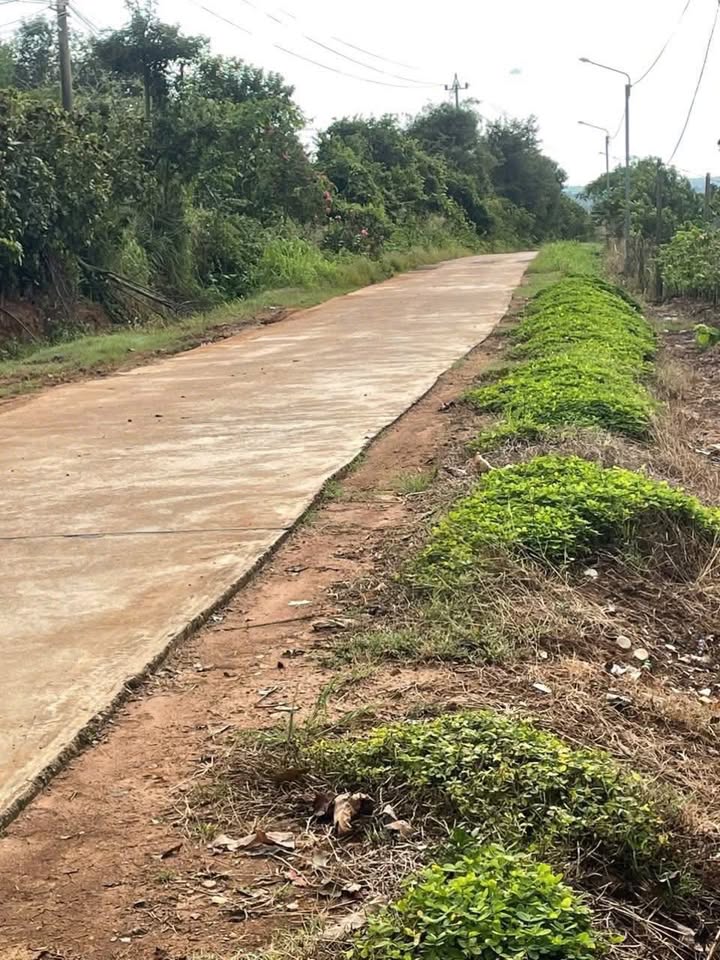 Đất thổ cư Thôn 5, Ea Khal 1368m² giá 800 triệu - View đẹp, thích hợp nghỉ dưỡng!