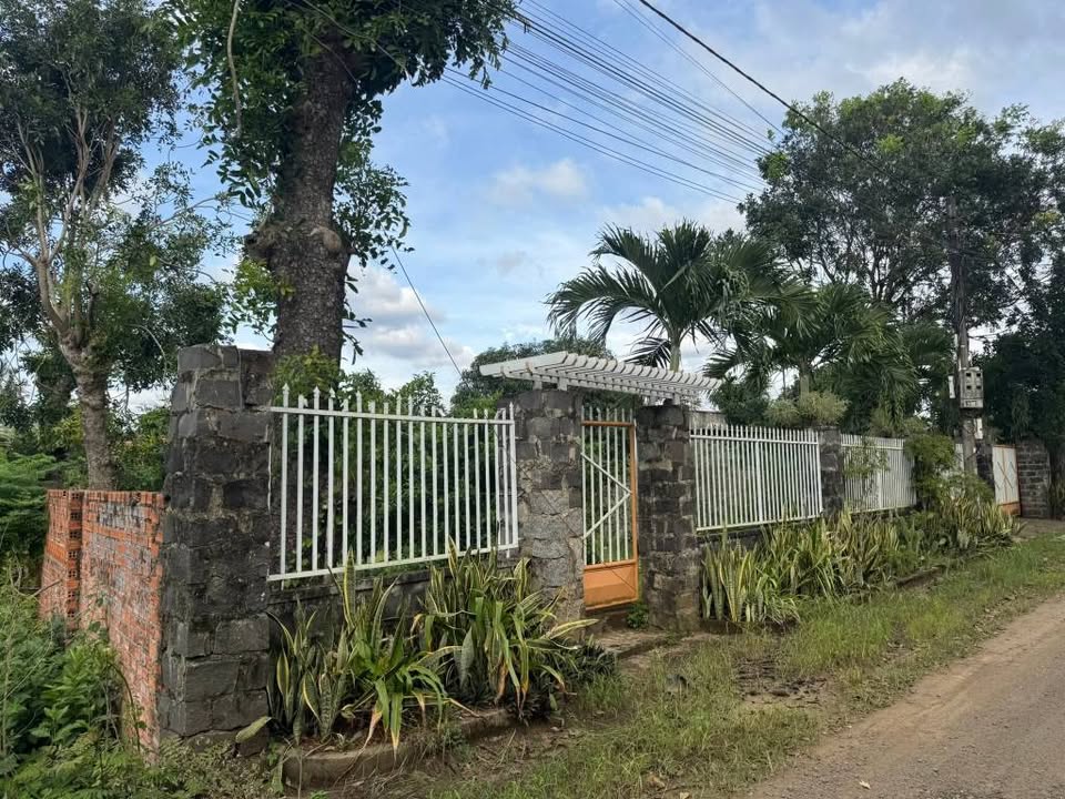 Đất nền 1,8 sào Phan Huy Chú, Khánh Xuân 5,9 tỷ - Nhà vườn ao cá sẵn sàng!