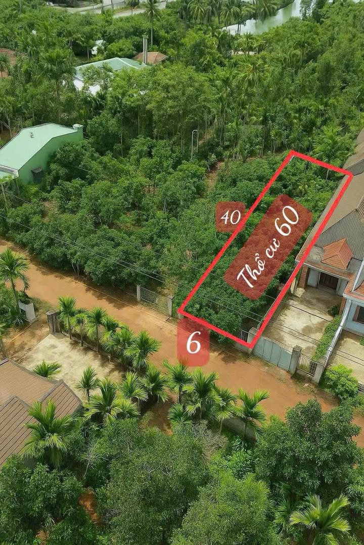 Đất Tân Lập Buôn Ma Thuột 239.9m² giá 1.69 tỷ - Cơ hội đầu tư tuyệt vời!