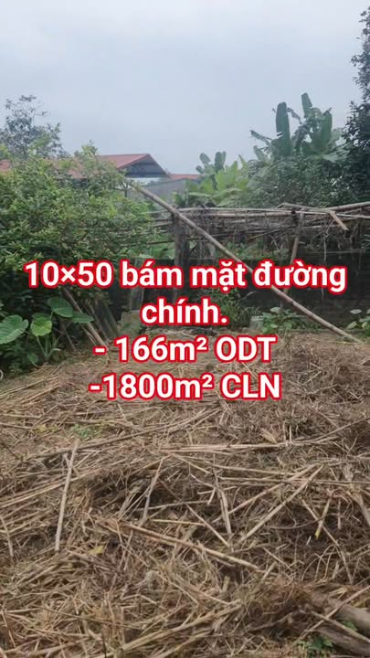 Bán đất mặt đường Thanh Liêm, Minh Bảo 1967m² - Cơ hội đầu tư sinh lời!