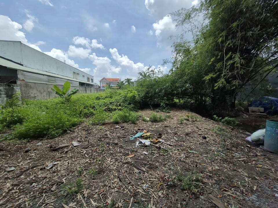 Đất nền Hóc Môn 863m² giá 12.99 tỷ - Đầu tư sinh lời cao!