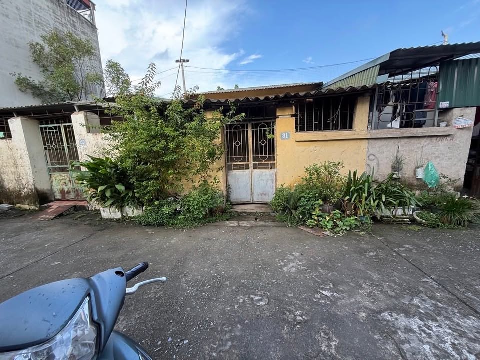 Đất phân lô giáo viên Trâu Quỳ, Gia Lâm 80m² giá 8 tỷ - Đầu tư sinh lời bền vững!