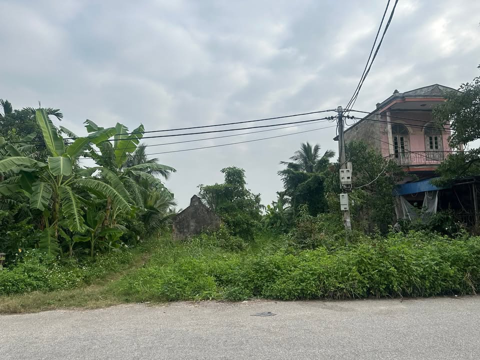 Đất nền góc Tân Quang, Tiên Lãng 407m² - Sổ đỏ chính chủ, giá thỏa thuận!