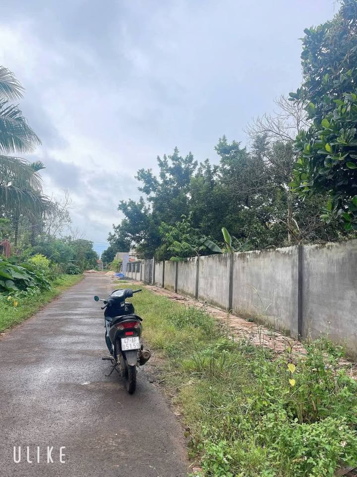 Đất nền chính chủ đường Hồ Chí Minh, 1350m² giá chỉ 30.8 tỷ - Đầu tư sinh lời ngay!