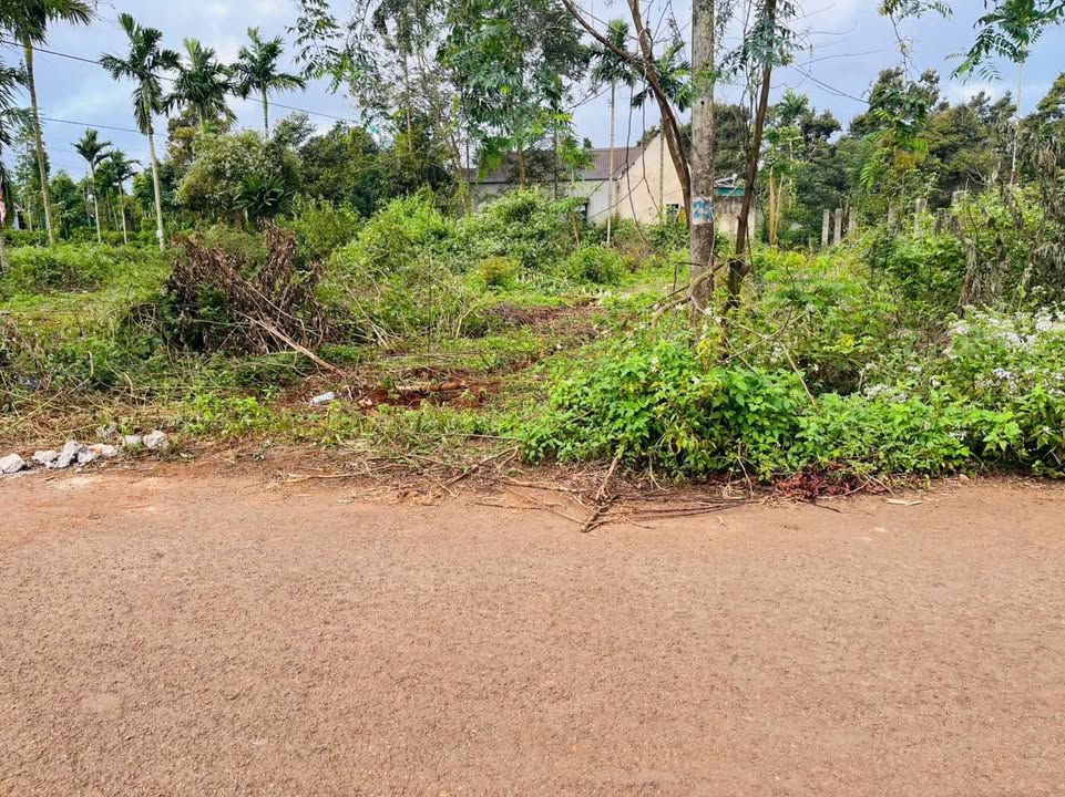 Đất hẻm 171 Nguyễn Thái Bình, phường Tân Lập 250m² giá 1.99 tỷ - Đầu tư sinh lời ngay!