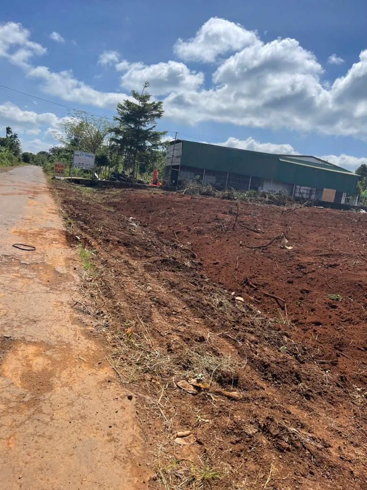 Đất nền chính chủ đường Cuor Đăng, Cư M'gar 550m² - Sổ hồng riêng, giá tốt!