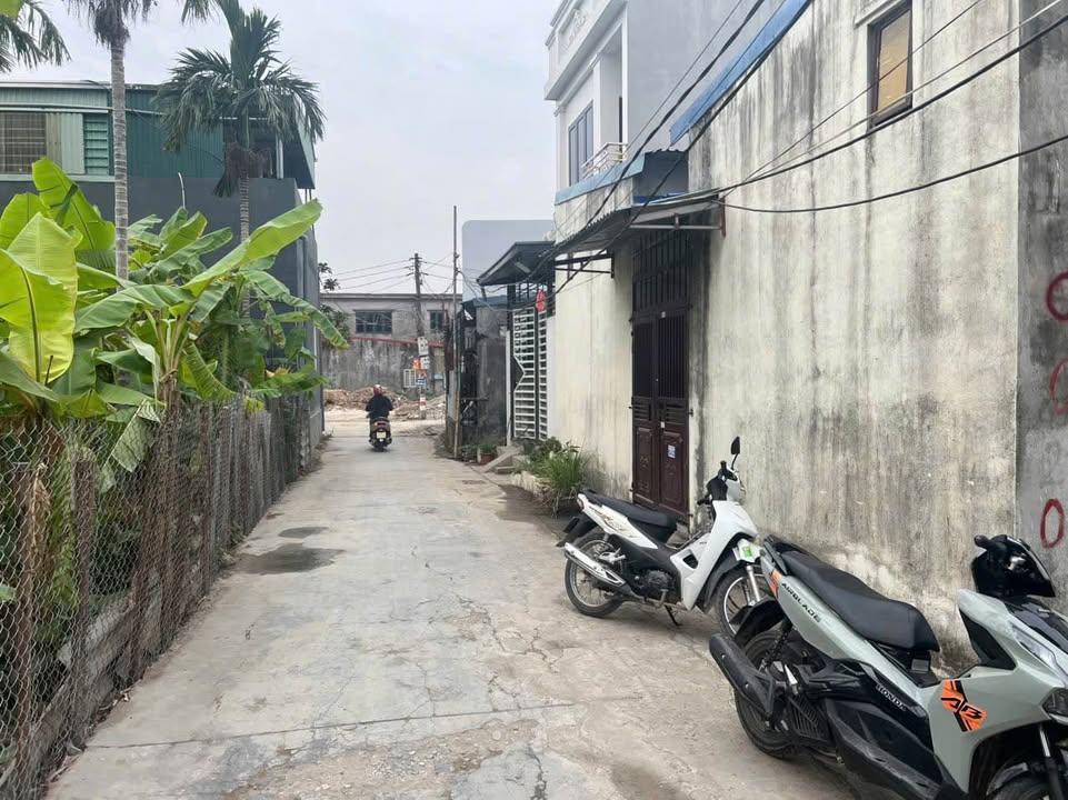 Đất nền Nam Sơn, An Dương 72m² giá chỉ 1 tỷ - Cơ hội đầu tư tuyệt vời!