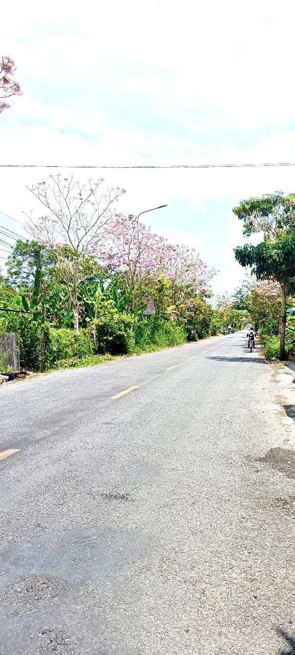 Nhà cấp 4 xã Phương Trà, huyện Cao Lãnh 137m² giá 1.9 tỷ - Kinh doanh thuận lợi!