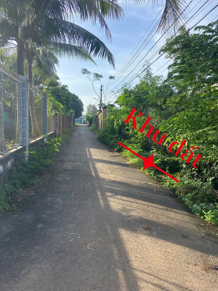 Đất thổ cư mặt tiền đường Vĩnh An 2, xã Trị An, 132m² giá 1.15 tỷ - Đầu tư sinh lời ngay!