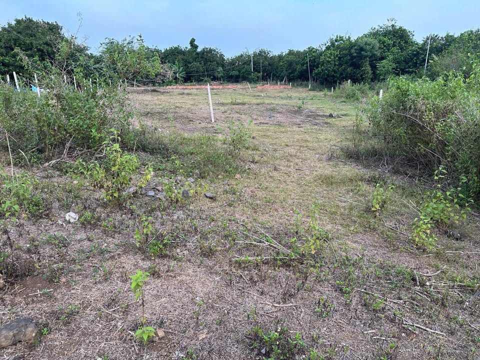 Đất vườn Bảo Hòa, 1001m² giá 1.2 tỷ - Sổ đỏ chính chủ, gần chợ và trường học!