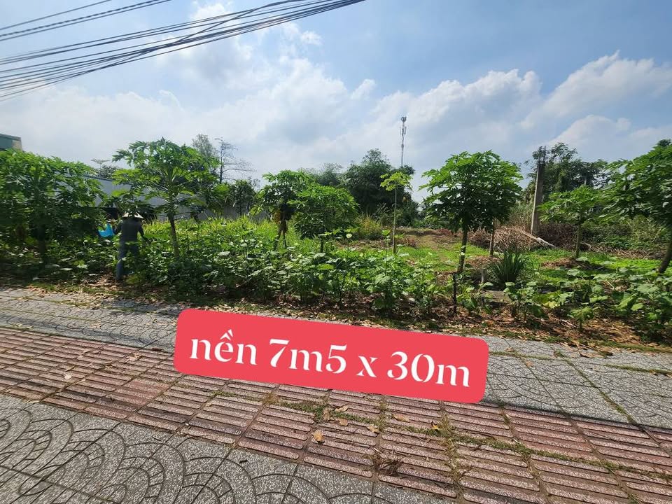 Đất mặt tiền đường Võ Văn Kiệt, Cần Thơ 227m² giá 7.5 tỷ - Hướng Đông Bắc, kinh doanh thuận lợi!