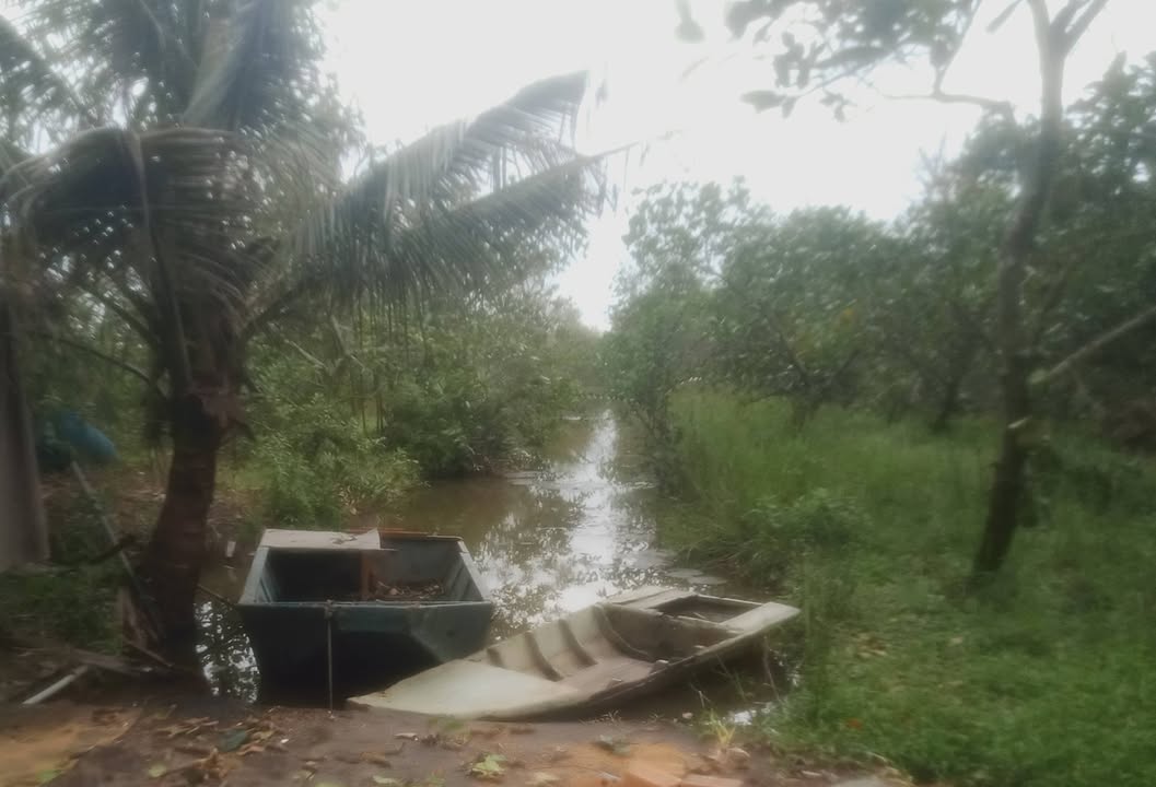 Đất vườn Phú Điền 11 công giá 4.023 tỷ - Đầu tư sinh lời cao!