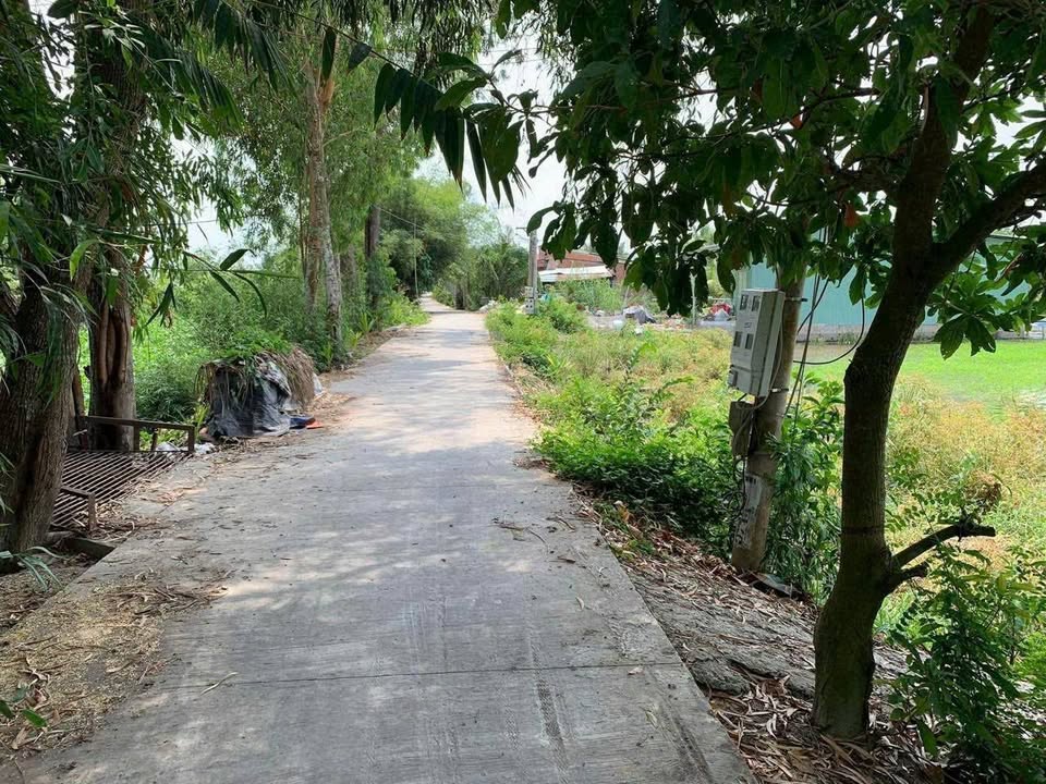 Đất nền 165m² tại ấp Mỹ Luận, xã Mỹ Hạnh Trung - Giá chỉ 380 triệu, sổ hồng chính chủ!