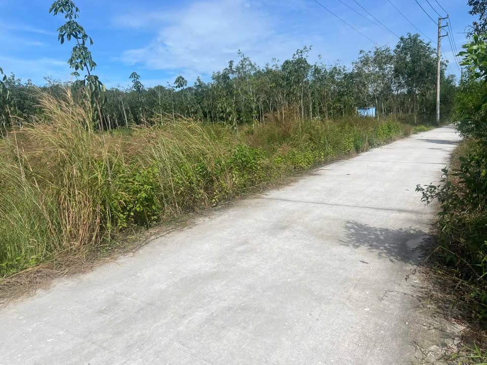 Đất nền Long Hòa Dầu Tiếng 5100m² giá chỉ 2 tỷ - Cơ hội đầu tư tuyệt vời!