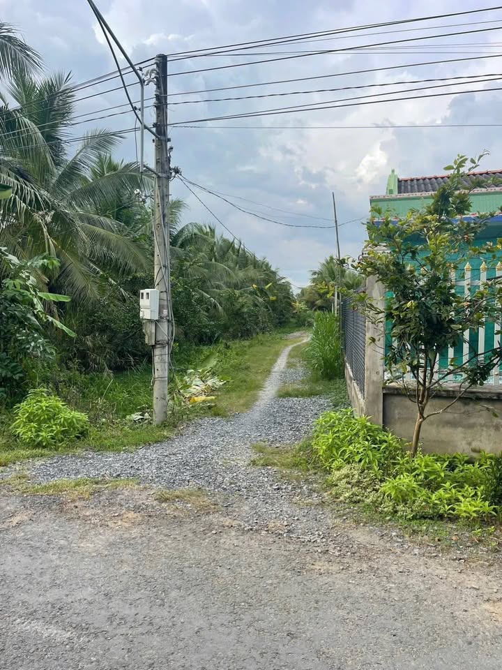 Đất nền 630m² tại ấp Hoà Quới, Bình Ninh, chỉ 750 triệu - Gần khu công nghiệp!