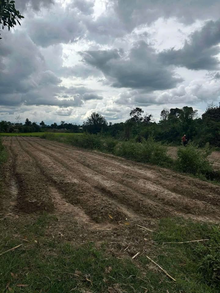 Đất nền N'Thôn Hạ 2000m² giá 800 triệu - Sổ đỏ chính chủ sẵn sàng!