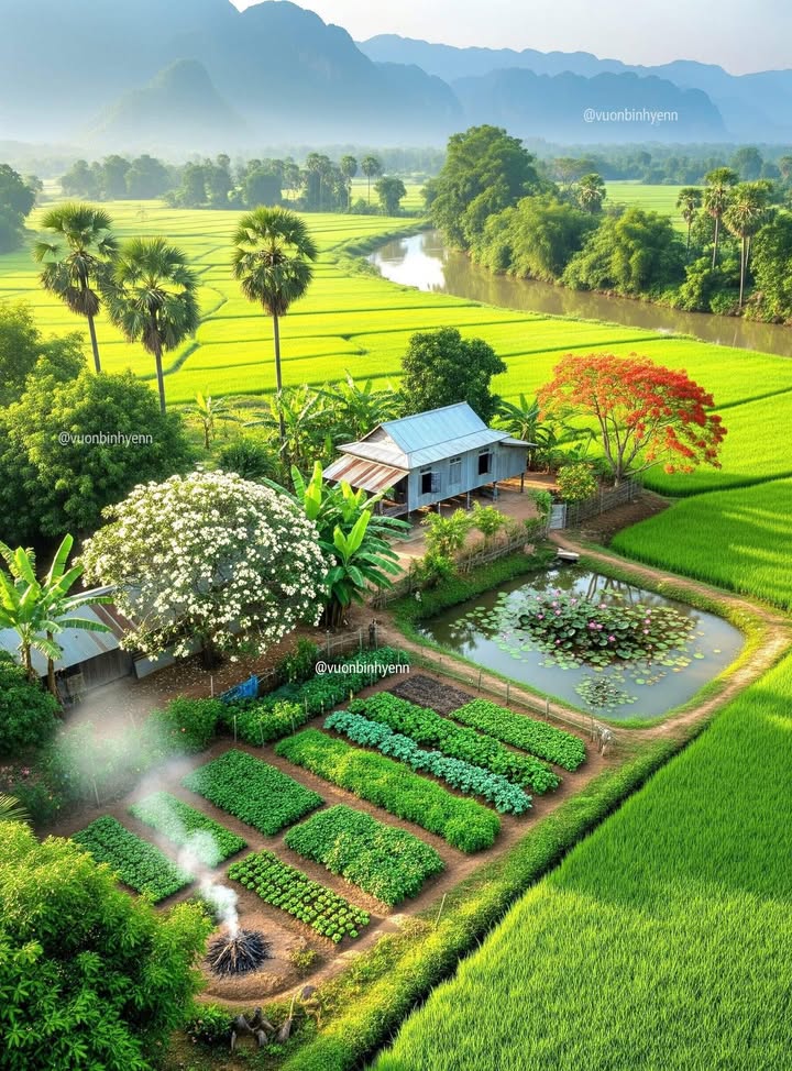 Đất nền Madagui 800m² giá 700 triệu - Cơ hội đầu tư duy nhất!