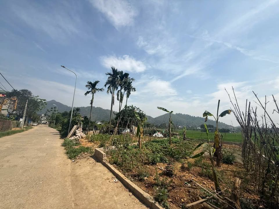 Lô đất 75m² tại thôn Cò, Yên Bình chỉ 2 tỷ - Vị trí đẹp, đầu tư sinh lời!