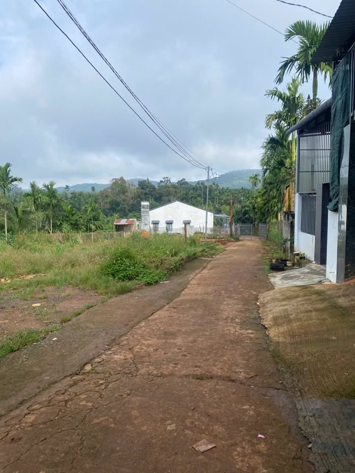 Đất nền thôn 6, xã Ea Tiêu, Đắk Lắk 100m² giá 450 triệu - Sổ đỏ chính chủ