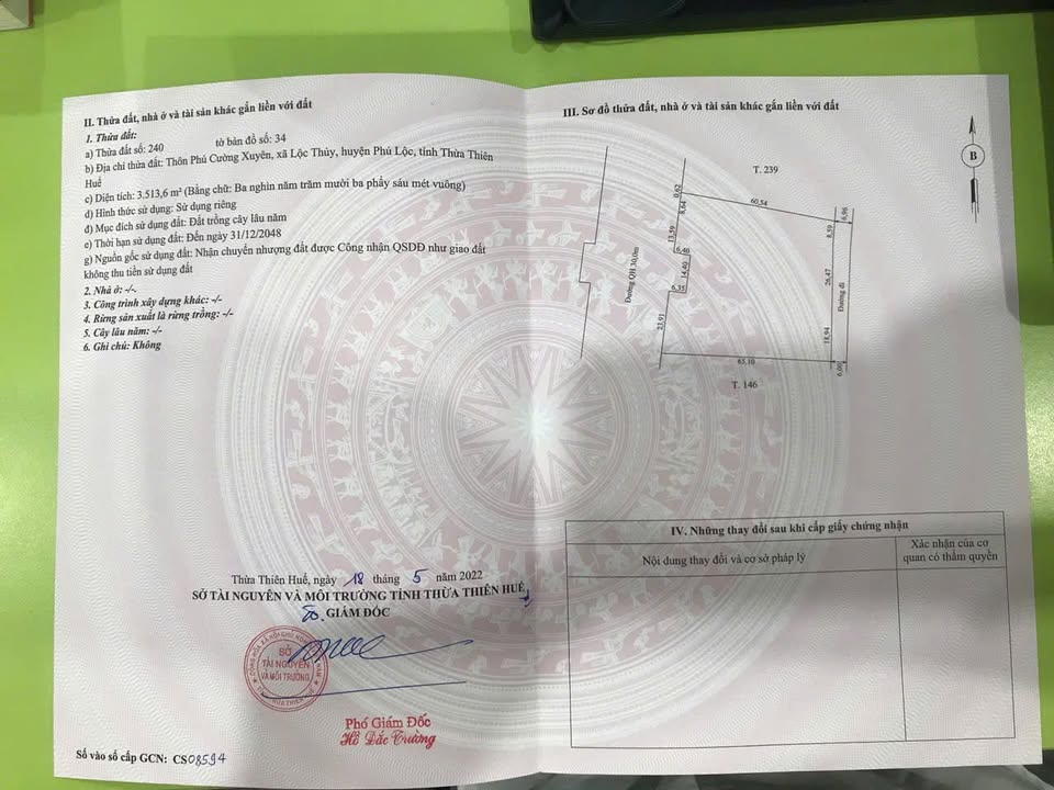 Đất cây lâu năm Lộc Thủy, Phú Lộc 3513m² - Đầu tư sinh lời tuyệt vời!