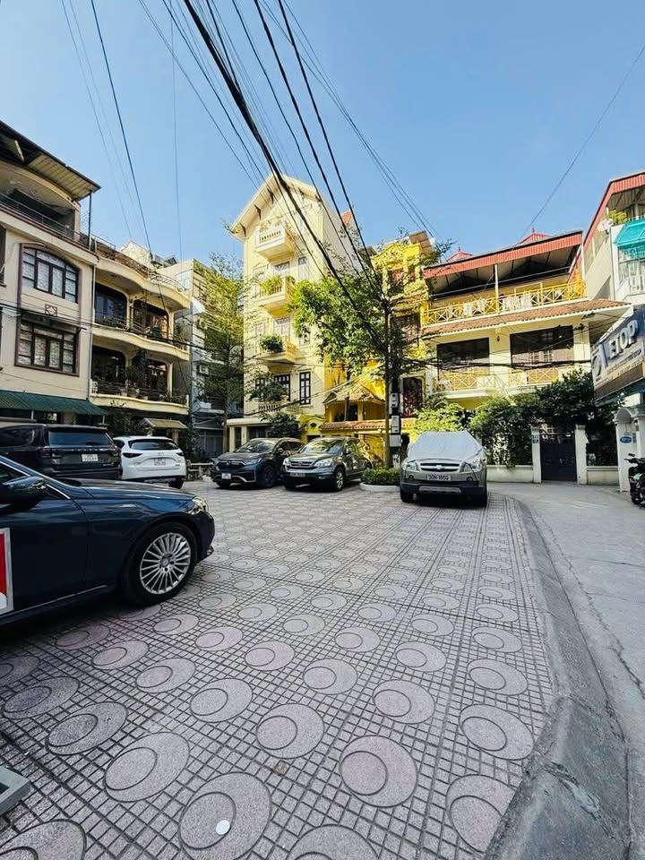 Biệt thự phân lô Tôn Thất Thiệp, Ba Đình 143m² giá 60 tỷ - Đầu tư sinh lời ngay!