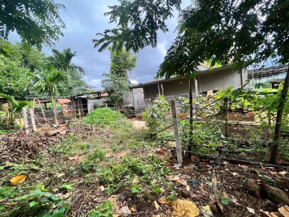 Đất Hòa Xuân Buôn Ma Thuột 90m² giá 520 triệu - Cơ hội đầu tư hiếm có!