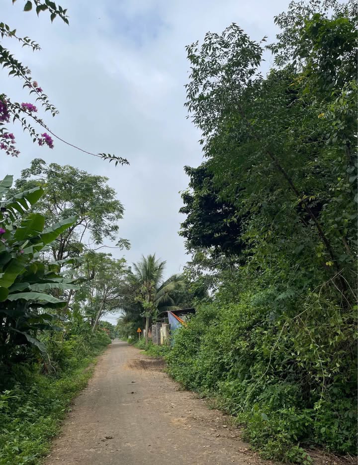 Đất nền Komleo - Hòa Thắng 444m² giá 444 triệu - Đầu tư sinh lời ngay!