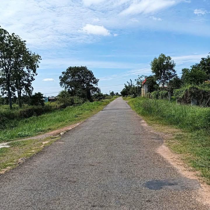 Đất cây trồng 4.000m² mặt tiền đường Đại Lộc, Hàm Hiệp chỉ 640 triệu - Cơ hội đầu tư tuyệt vời!