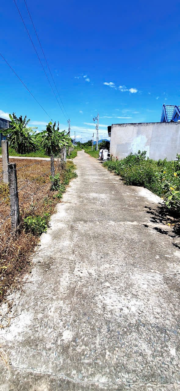 Đất thổ cư 100m² Thôn 1, Hàm Liêm giá 650 triệu - Cơ hội đầu tư tuyệt vời!