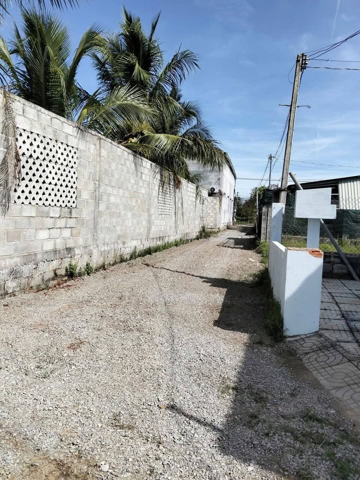 Đất thổ cư 104m² tại Hàm Liêm, Bình Thuận - Giá chỉ 599 triệu, thương lượng!