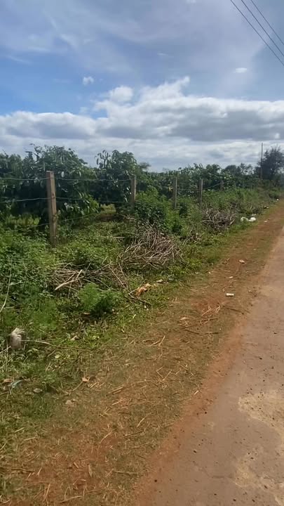 Đất nền 36.000m² tại Hà Bầu, Đăk Đoa giá 1.7 tỷ - Cơ hội đầu tư lý tưởng!