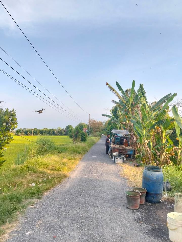 Đất thổ cư đường Cả Sáng, Mỹ Ngãi, 300m² giá chỉ 559 triệu - Cơ hội đầu tư tuyệt vời!