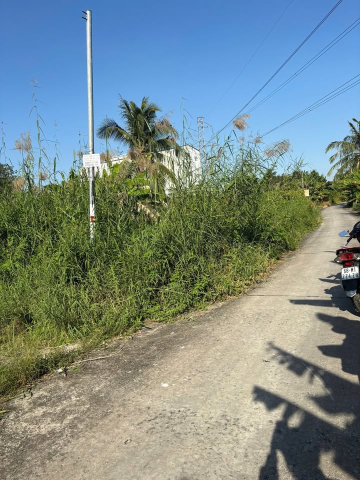 Đất vườn 105m² giá 255 triệu - Bán lỗ thu hồi vốn tại Châu Thành, Kiên Giang!