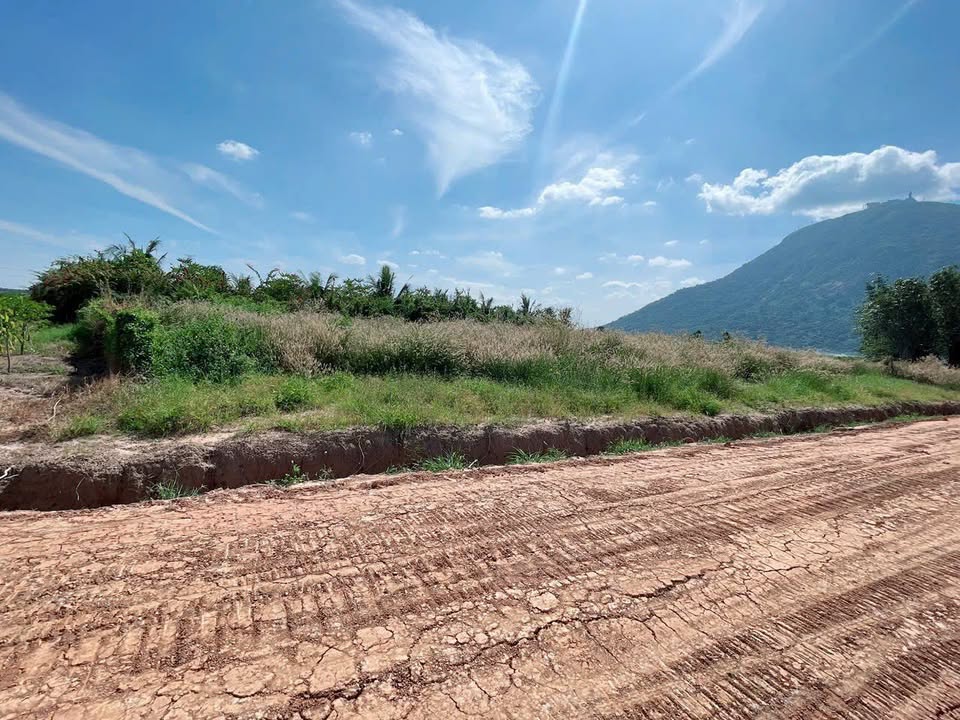 Đất nông nghiệp 63000m² Dương Minh Châu, Tây Ninh - Vị trí đẹp, giá chỉ 430 triệu!