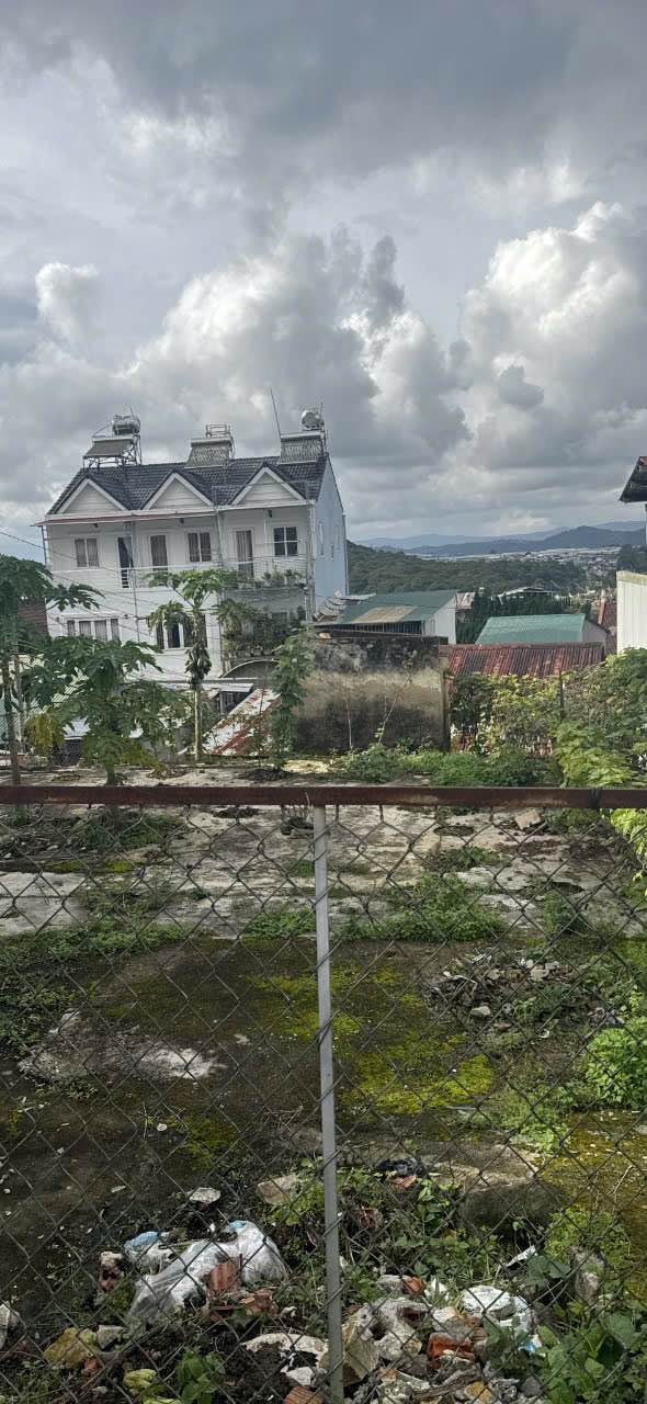 Bán đất đường Mẫu Tâm, Đà Lạt 128,5m² và 163,9m² - Đầu tư lý tưởng!